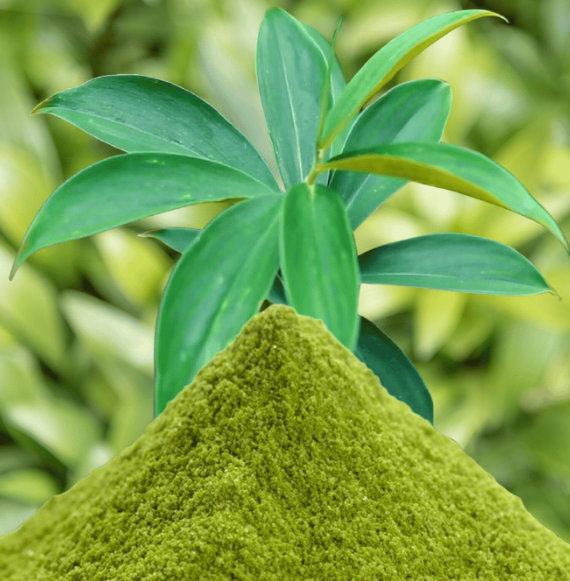 100% Ceylon Organic